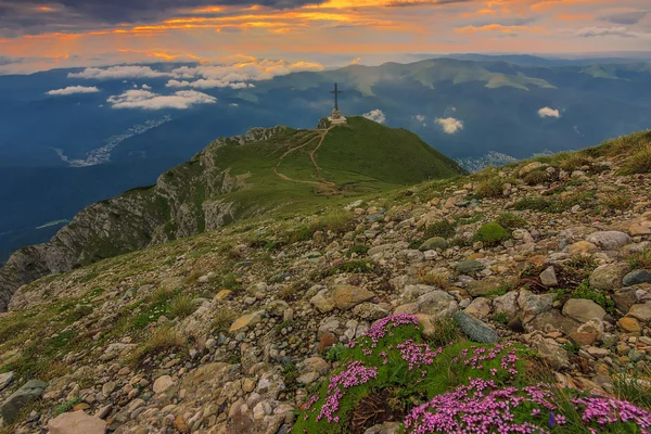 Majestuoso amanecer y flores rosadas en las montañas, montañas Bucegi, Cárpatos, Rumania —  Fotos de Stock