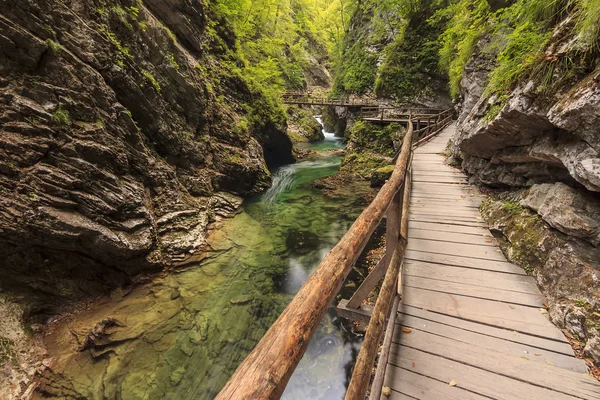 Vintgar gorge en houten pad, bled, Slovenië — Stockfoto