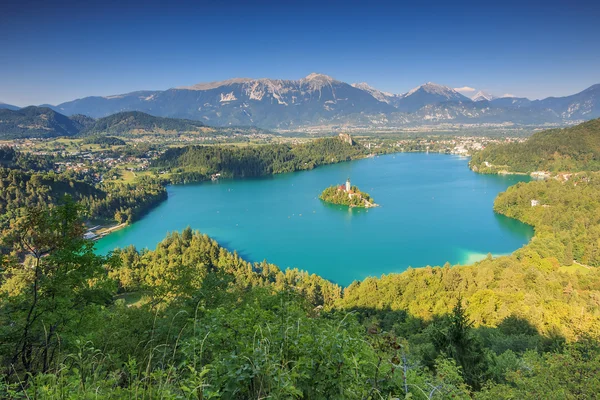 Vista panorámica del lago Bled en los Alpes Julianos, Eslovenia, Europa Imágenes de stock libres de derechos