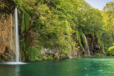 şelaleler ormandaki plitvice Milli Parkı, Hırvatistan, Avrupa