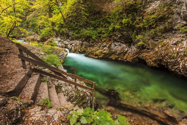 Vintgar gorge en green river, bled, triglav-Slovenië — Stockfoto