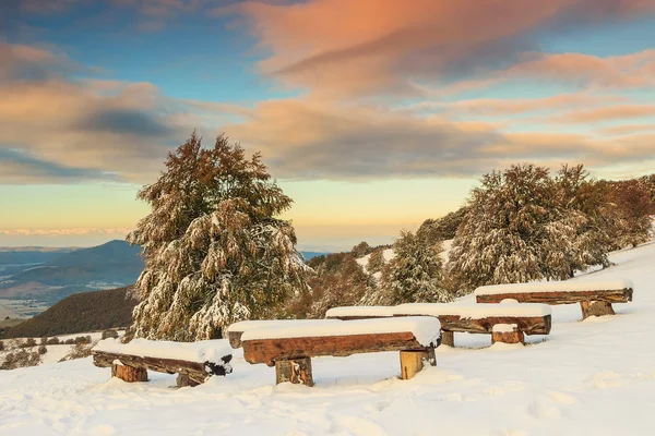Красивый утренний и зимний пейзаж, Карпаты, Трансильвания , — стоковое фото