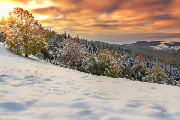Mooie ochtend lichten en winter panorama, Karpaten, Transsylvanië, Roemenië — Stockfoto