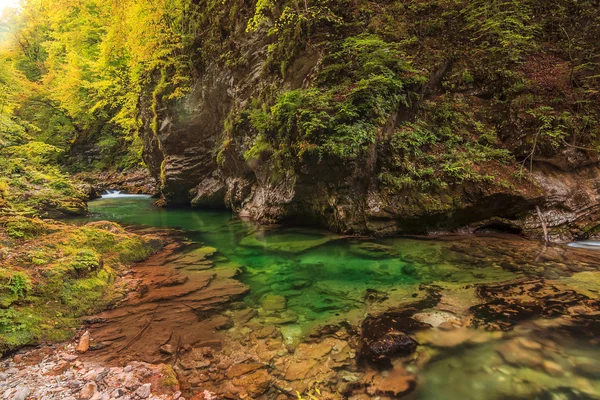 Vintgar gorge en green river, bled, triglav-Slovenië — Stockfoto