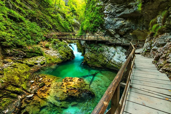 Garganta de Vintgar e rio verde, Bled, Triglav- Eslovénia — Fotografia de Stock