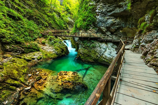 vintgar gorge ve green river, bled, Slovenya triglav 