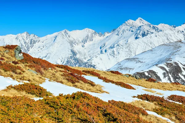 Jarní krajina ve vysokých horách, fagaras, Karpaty, Rumunsko — Stock fotografie