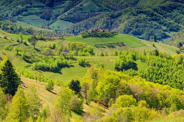Wiosna krajobraz panorama, wzgórza, łąki, holbav, Transylwania, Rumunia — Zdjęcie stockowe
