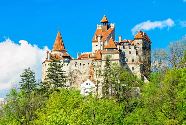 El famoso castillo de Drácula, salvado, Transilvania, Rumania — Foto de Stock