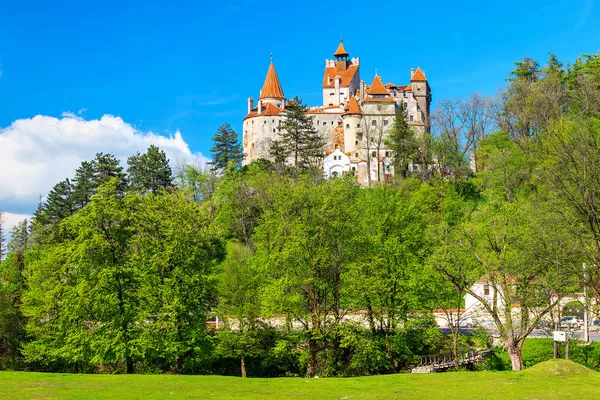 El famoso castillo de Drácula, salvado, Transilvania, Rumania — Foto de Stock