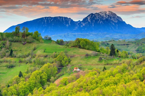 Krajobraz lato w Transylwanii, holbav, Rumunia — Zdjęcie stockowe