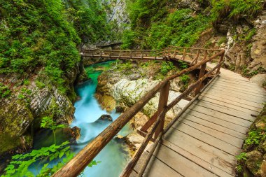 ahşap köprü ve green river, vintgar gorge, Slovenya, Avrupa