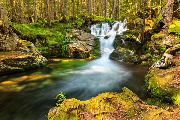 Mooie trapsgewijze waterval in het bos, retezat Nationaalpark, Roemenië — Stockfoto