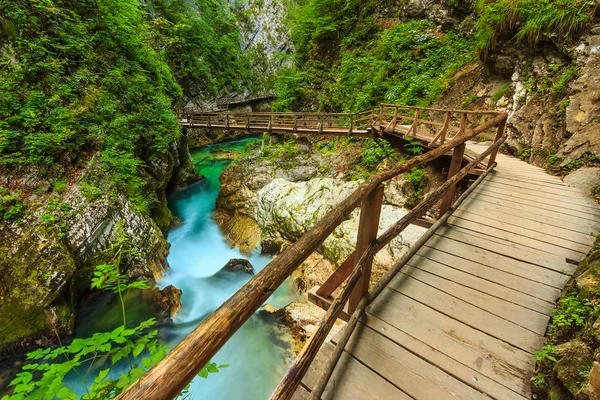 Dřevěný most a green river, vintgar soutěska, Slovinsko, Evropa — Stock fotografie