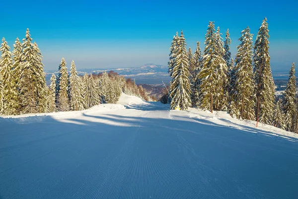 位于罗马尼亚喀尔巴阡山脉波亚纳布拉索夫的令人赞叹的冰雪覆盖了松树林和雄伟空旷的冬季滑雪场 — 图库照片