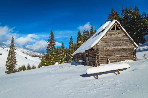 Fantastiskt Snötäckt Vinterlandskap Med Gammal Trästuga Fjällvildmarken Karpaterna Rumänien Europa — Stockfoto