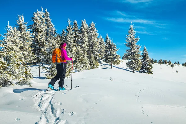 雪の斜面をバックカントリースキー バックパックを持つスポーティ女性 深いパウダースノーでスキーツアーと景色を楽しむ カルパチア トランシルヴァニア ルーマニア ヨーロッパ — ストック写真