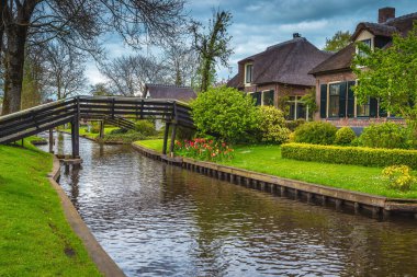 Çiçekli bahçeli şirin evler ve su kanalının kıyısında yeşil çalılar, Giethoorn, Hollanda, Avrupa