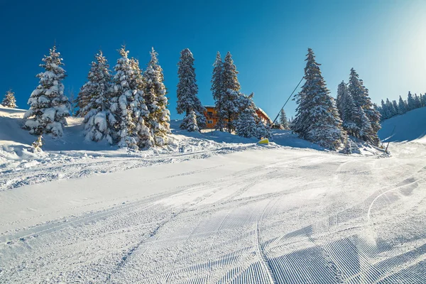 Fantastiskt Snöigt Landskap Med Söt Trästuga Den Snöiga Tallskogen Kullen — Stockfoto