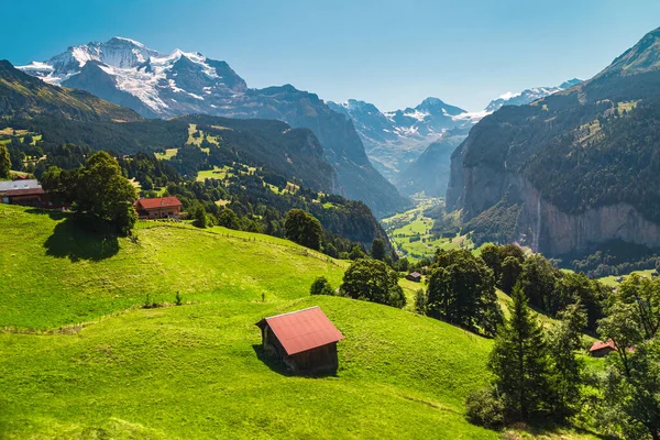 令人惊奇的夏季高山地区 绿草如茵 高山多雪 瑞士奥伯兰市Bernese Oberland的旅游胜地和深谷的Lauterbrunnen村景观 — 图库照片