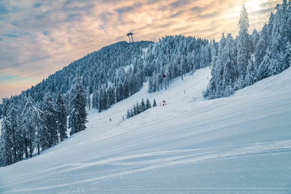 Góndolas Esquí Sobre Las Rutas Esquí Recién Preparadas Bosque Nevado —  Fotos de Stock