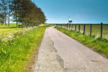 Yeşil tarlalarda otlayan ineklerin ve arka planda şirin deniz feneri binalarının olduğu kırsal alan manzarası, Marken, Hollanda, Avrupa
