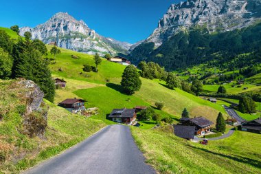 Yamaçlarda yeşil çayırlar ve tarım arazileri olan ünlü Alp köyü, Grindelwald, İsviçre, Avrupa