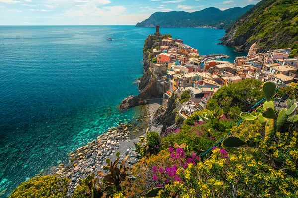 Famous Vernazza Village View Colorful Medanean Buildings Flowery Garden Cinque — стоковое фото