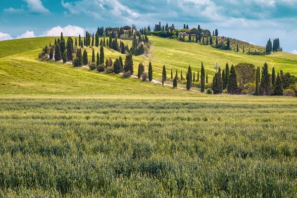 Localização Pitoresca Viagem Fotografia Toscana Estrada Rural Empoeirada Curvada Colina — Fotografia de Stock