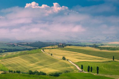 Çarpıcı sisli kırsal alan tahıl tarlaları ve tepelerdeki virajlı yol, Toskana, İtalya, Avrupa