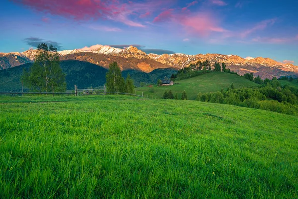 Admirable Alpine Scenery Green Fields Snowy Mountains Sunset Moieciu Sus — Fotografia de Stock