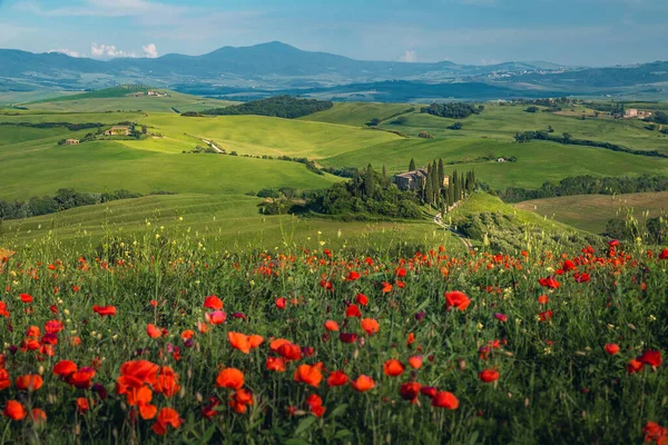 Landbouwlandschap Met Bloemrijke Weiden Majestueuze Rode Papaver Bloemen Hellingen Huizen — Stockfoto