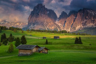 Çiçekli yeşil tarlalarda ahşap kiremitlerle ve günbatımında karlı dağlarla fantastik bahar manzarası, Alpe di Siusi, Dolomitler, İtalya, Avrupa