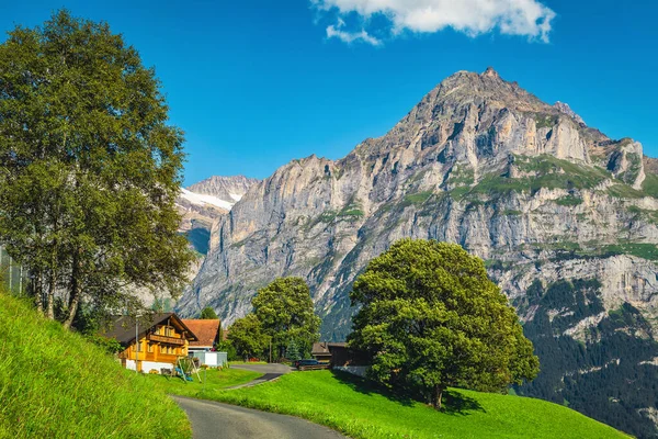 Wooden Houses Green Fields Hill Amazing View High Mountains Grindelwald — Stock Photo, Image