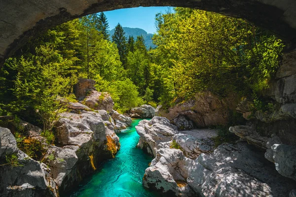 Turkuaz Nehri Olan Takdire Şayan Doğa Manzarası Ormanda Kayalık Vadisi — Stok fotoğraf