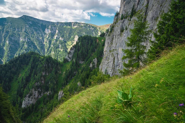 Famous Hiking Trail Mountain Slope Carpathians Bucegi Mountains Romania Europe — ストック写真