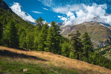 Yüksek Matterhorn zirvesi ve Zermatt, İsviçre, Avrupa yakınlarındaki yeşil tarla kuşlarıyla muhteşem bir alp manzarası.