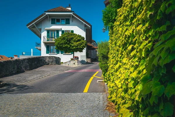 Swiss Village Street View Traditional House Beautiful Green Plants Wall — Foto Stock