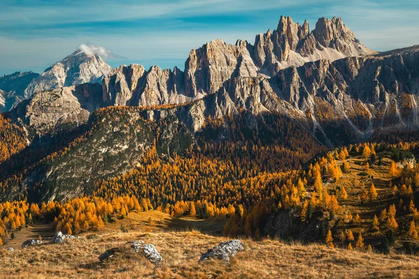 Amazing autumn alpine scenery with colorful larch forest and high mountains in background, Dolomites, Italy, Europe