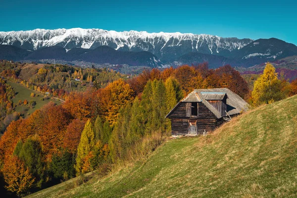 Majestic Autumn Scenery Colorful Deciduous Forest Hills Colorful Forest Slope — ストック写真