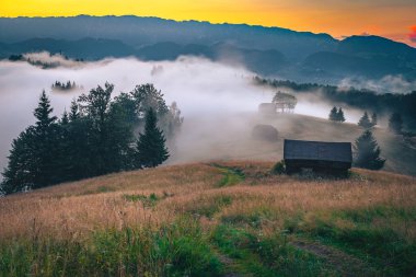 Stunning autumn countryside scenery with misty slopes and valleys after rain at sunset, Transylvania, Romania, Europe