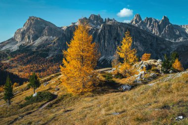 Amazing alpine autumn landscape with colorful larches and fantastic high mountains in Dolomites, Italy, Europe