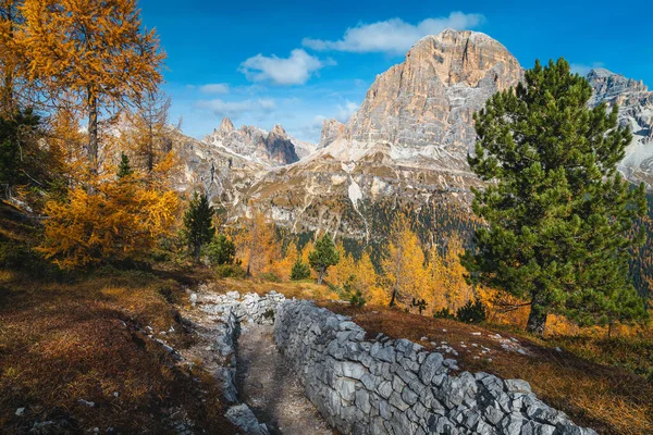 チンクトーリ崖の周りの有名な岩のハイキングコース 秋のカラフルなカラマツと背景の壮大なピーク ドロマイト イタリア ヨーロッパ — ストック写真