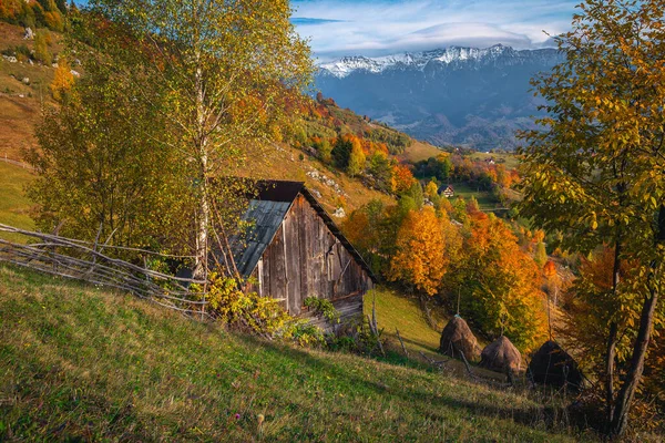 斜面には美しい秋の田園風景とカラフルな落葉樹 夕暮れ時の丘の上の庭の干し草 カルパチア人 トランシルヴァニア ルーマニア ヨーロッパ — ストック写真