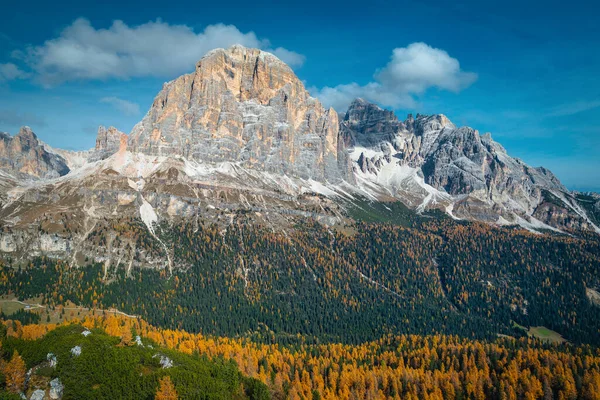 斜面にカラフルなカラフルなカラマツの森と背景に高い山 ドロマイト イタリア ヨーロッパと美しい秋の高山風景 — ストック写真