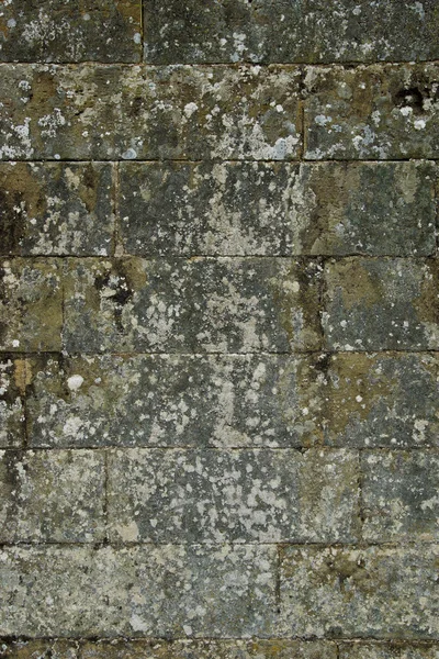 Alte Steinmauer Hintergrund — Stockfoto
