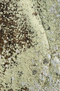 Doğal taş dokusu arka planı