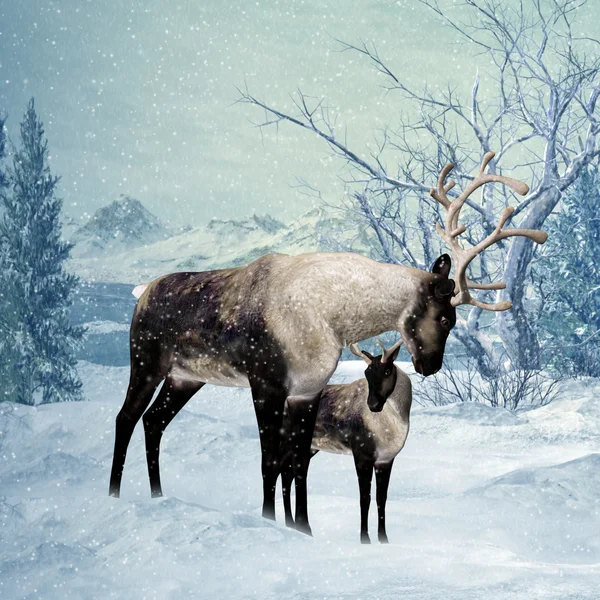 Cartão de saudação de renas e Fawn Winter — Fotografia de Stock