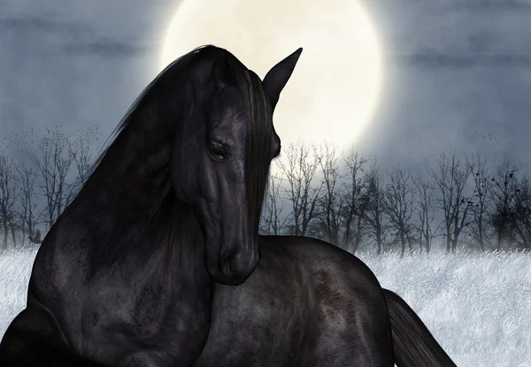 Svart häst på en månljus natt illustration Stockfoto