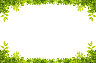 leaves frame isolated on white background clipart